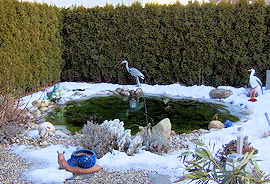Weiher- und Biotopeinlagen